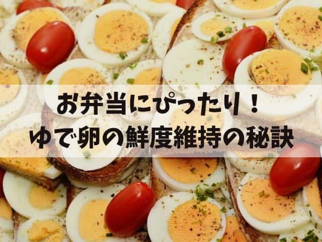 お弁当にぴったり！ゆで卵の持ち運びと四季に合わせた鮮度維持の秘訣