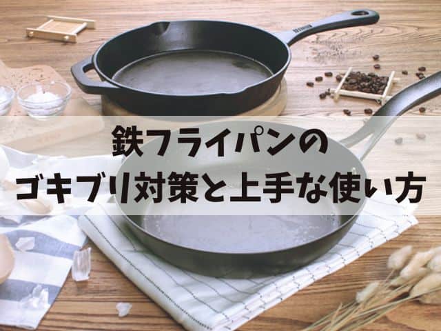 鉄フライパンのゴキブリ対策と上手な使い方