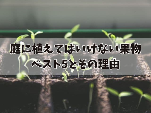 庭に植えてはいけない果物ベスト5とその理由