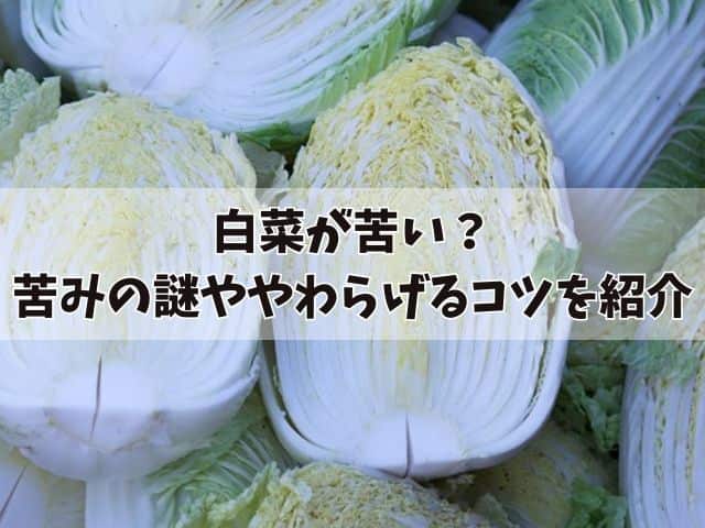 白菜が苦い？苦みの謎ややわらげるコツを紹介