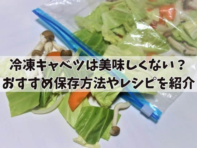 冷凍キャベツが美味しくないと言われる理由とは？おすすめ保存方法やレシピを紹介