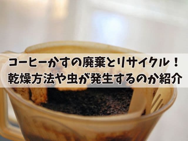 コーヒーかすの廃棄とリサイクル!乾燥方法や実際に虫は発生するのか紹介