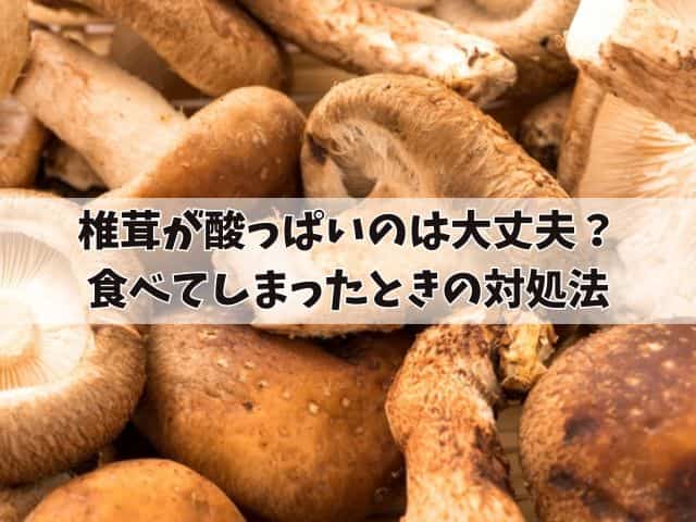 椎茸が酸っぱいのは大丈夫？食べてしまったときの対処法や保存法も紹介