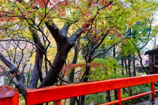 伊香保温泉の紅葉の混雑状況は？