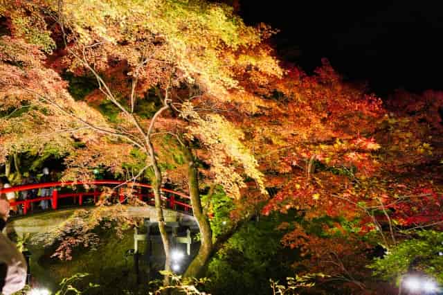 伊香保温泉の紅葉のおすすめ時間帯は？