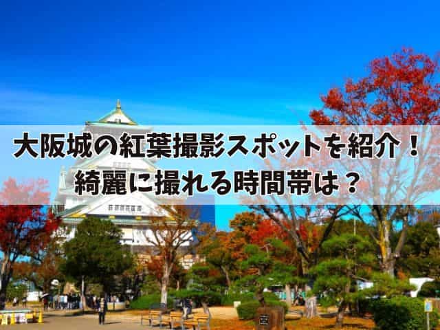 大阪城の紅葉撮影スポットを紹介！綺麗に撮れる時間帯は？